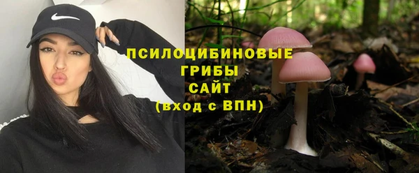 соль ск Алексеевка