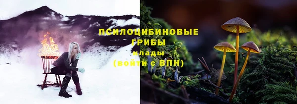 соль ск Алексеевка