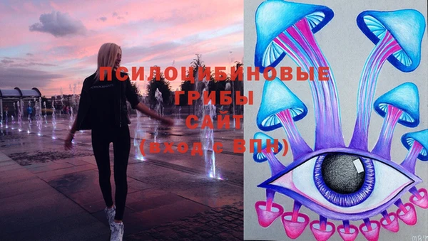 ECSTASY Алексин