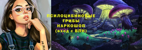 соль ск Алексеевка