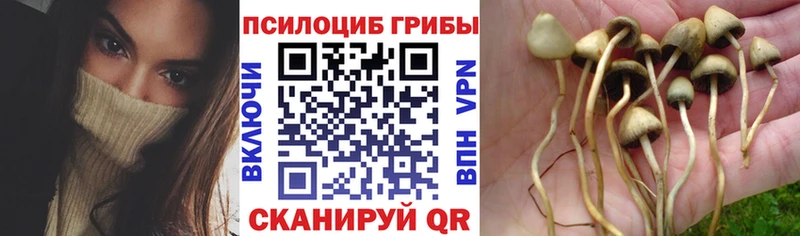 Галлюциногенные грибы мицелий  продажа наркотиков  Удомля 
